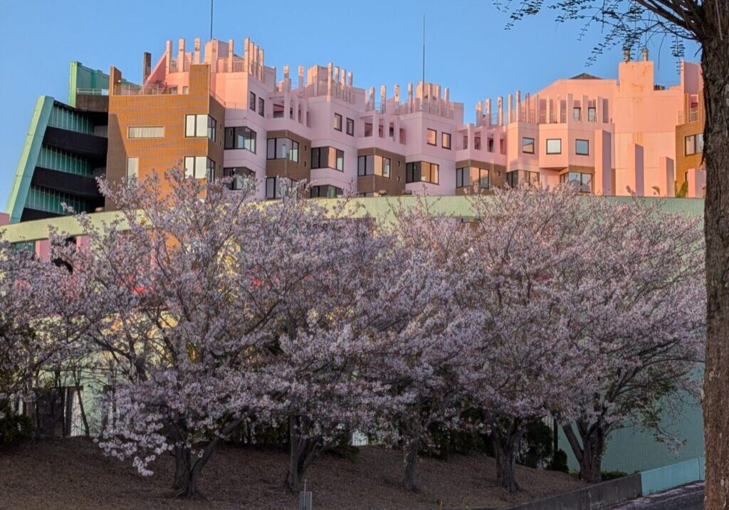 PXL_20260408_091534778