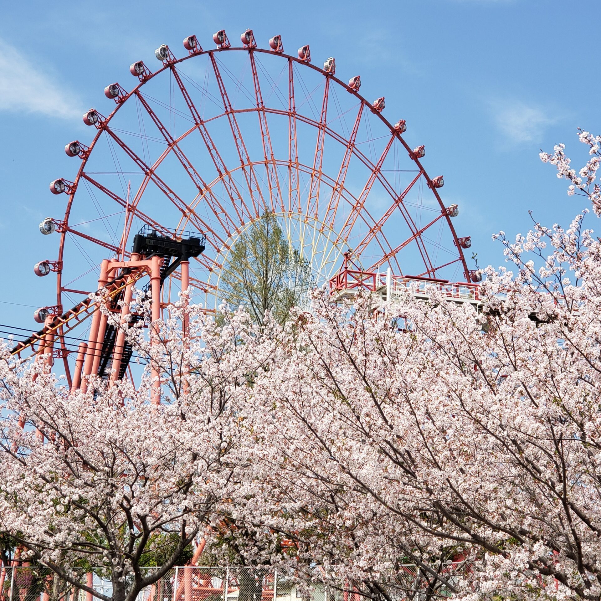 2023年４月の桜